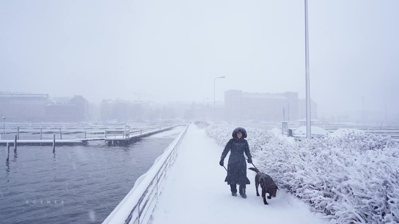 Helsinki, Finland 🇫🇮 Coastal Winter Walk in Heavy Snowfall