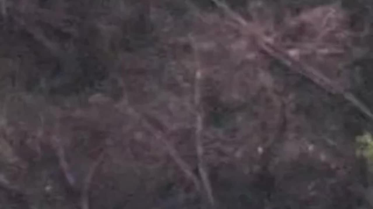 Breaking News 😳😱 A f-35 fighter jet disappeared into the South Carolina sky.