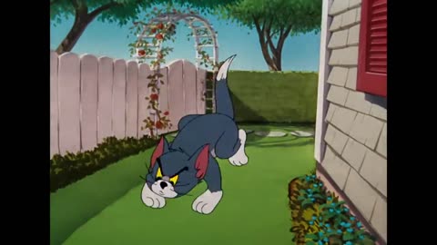 TOM AND JERRY
