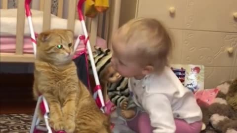 Ajeeb: Cat kisses my child😳😳😳😱😱😱😱😱