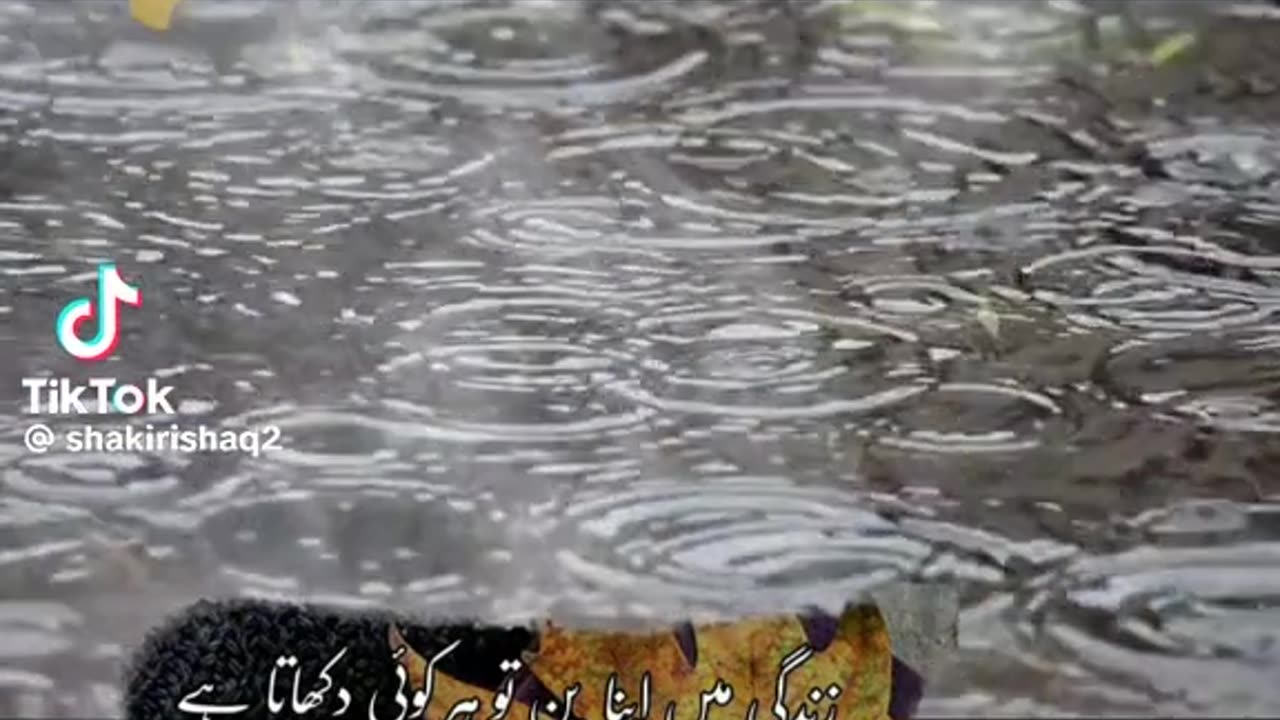 Ya matlabi logo K liya hai