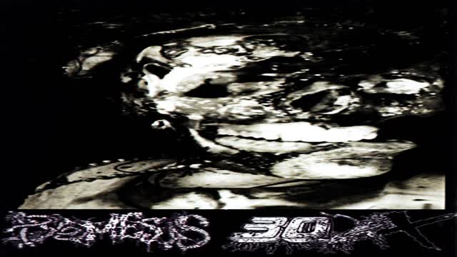 30XX - SPLIT W/PYEMESIS (2014) 🔨 FULL SPLIT 🔨