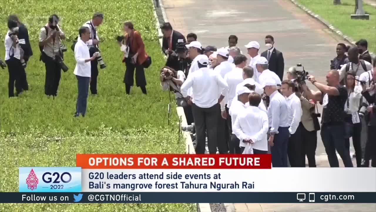 G20 leaders attend side events at Bali's mangrove forest Tahura Ngurah Rai