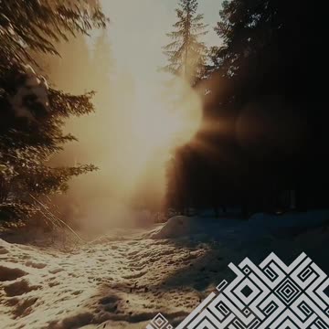 Человек меняется по двум причинам #shorts #tompitai