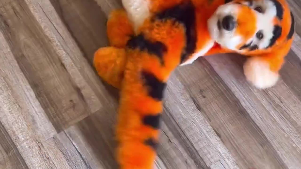 A Dog Tigger