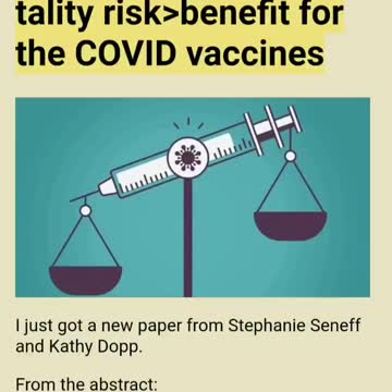 Steve Kirsch - Yet Another Paper Shows All-Cause Mortality Risk>Benefit for the COVID Vaccines