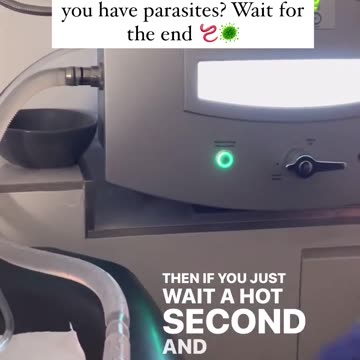 Parasites in your body