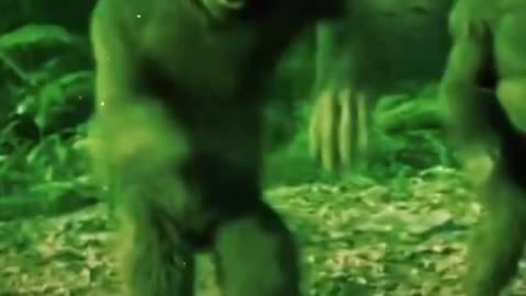 monkey dance