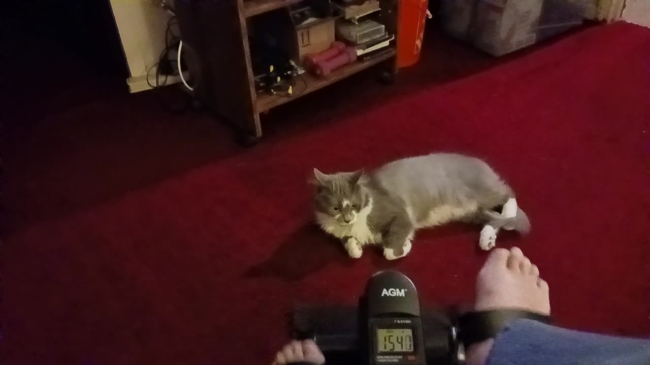 Lexington is my spotter