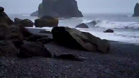 A lot of rain, birds, wind and the sound of the waves makes a perfect atmosphere .