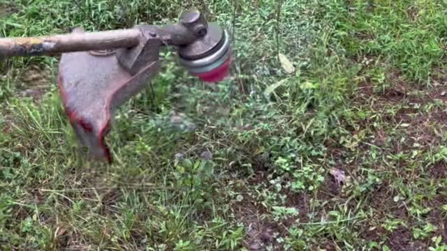 Chainsaw Blade on a Weed Whacker