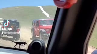Jeep Colorado trip