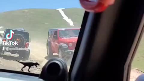 Jeep Colorado trip