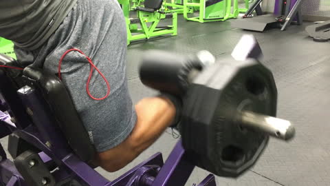 2015 Leg Destruction