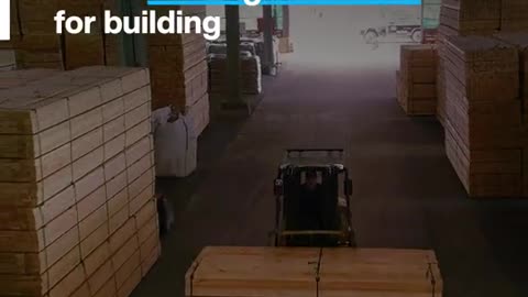 A WEF legújabb videója