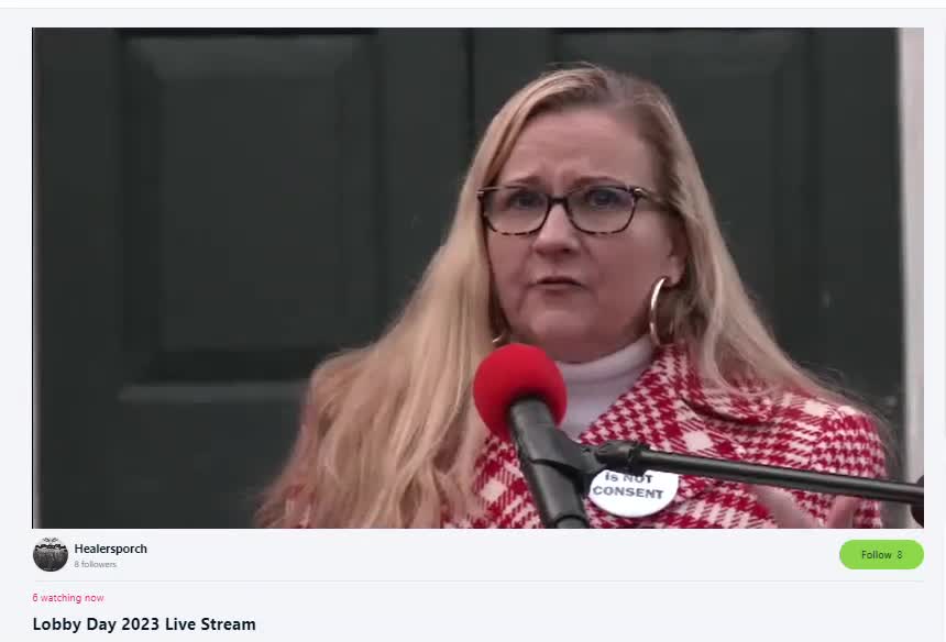 VMFA Senator Amanda Chase - Electronically Jammed Audio of VMFA Rally Day Richmond - 1-16-2023