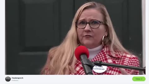 VMFA Senator Amanda Chase - Electronically Jammed Audio of VMFA Rally Day Richmond - 1-16-2023