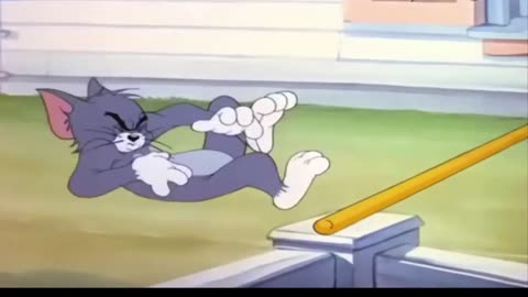 Tom and Jerry FUNNY moment