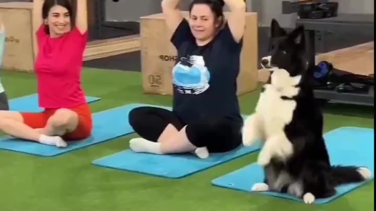 Yoga lover 😂