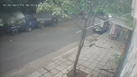 Dog snatchers got instant justice