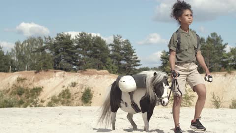 A pony on the beach