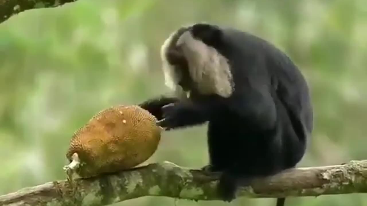 Wildlife in closer view with a natural perspective.
