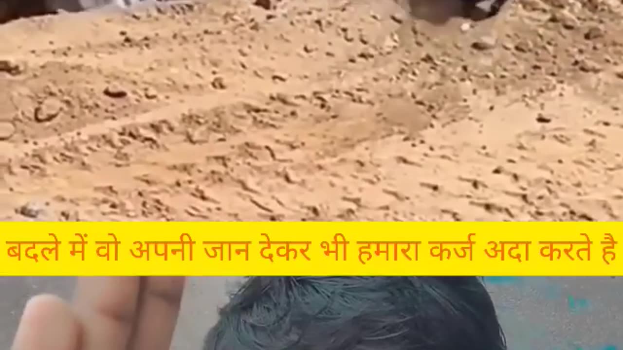 बेजुबान की मदद