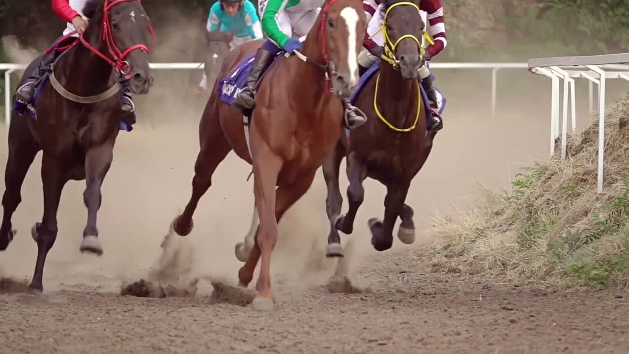 Rounding of the Racecourse on Horse Races