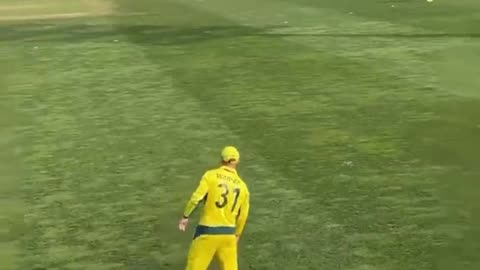 David Warner dance in the ground 😁😁😁