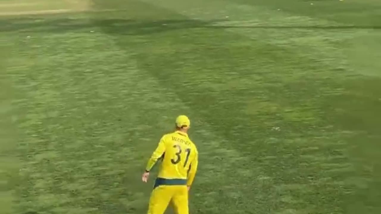 David Warner dance in the ground 😁😁😁