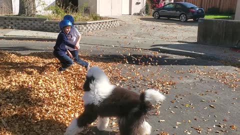 George playing with his buddies