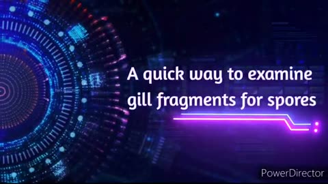 A quick way to examine gill fragments for spores