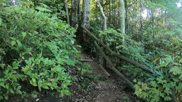 Brent Explores Our Digs at Maggie Valley Part 02