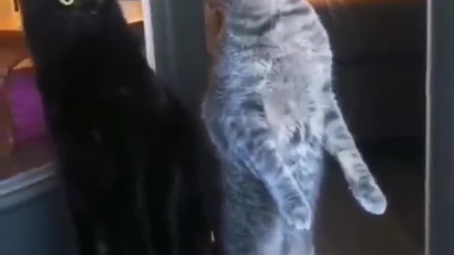 What's going on over there!