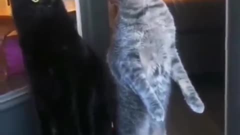 What's going on over there!