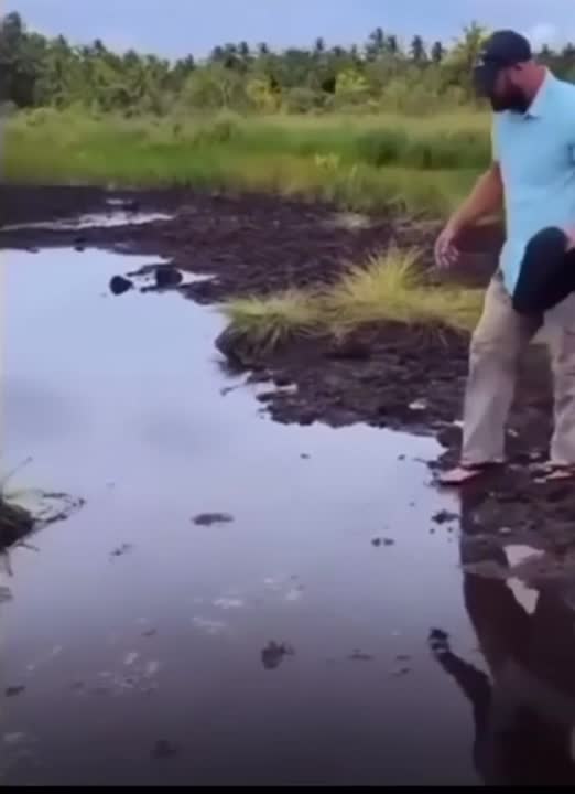 Don’t cross the steam