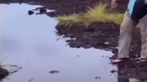 Don’t cross the steam