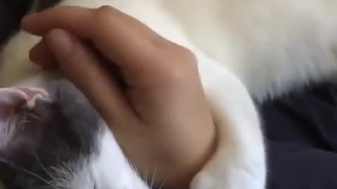 He likes to tickle