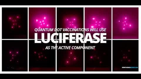 LUCIFERASE IN VACCINES 💉