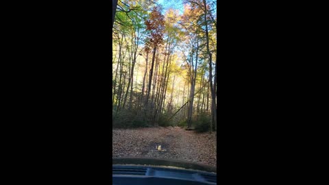 Beautiful Fall drive in the East TN mountains