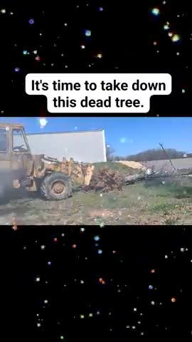 TIME TO CLEAN UP DEAD TREES.