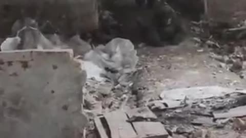 Airborne Forces of the Russian Army captured and remained alive.