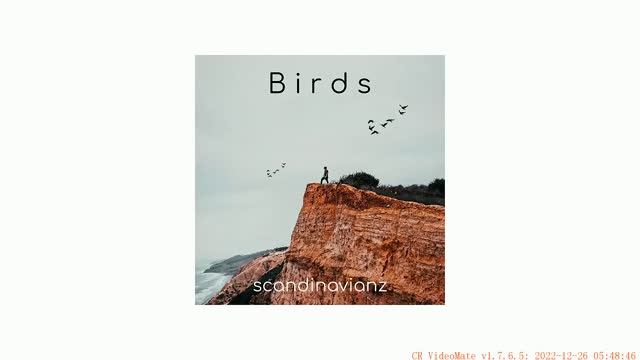 🐦 Happy No Copyright Chill Instrumental Background Music - 'Birds' by Scandinavianz