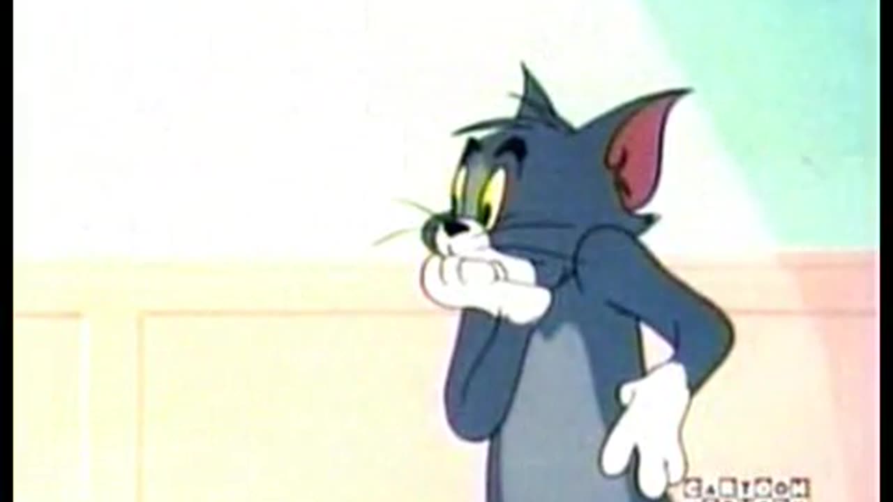 Tom and jerry funny video