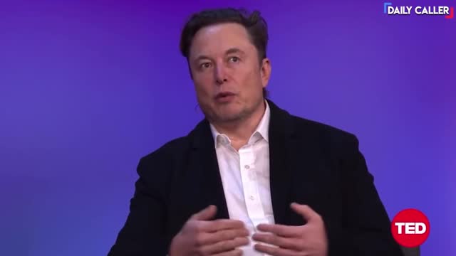 Elon Musk Defines 'Free Speech'