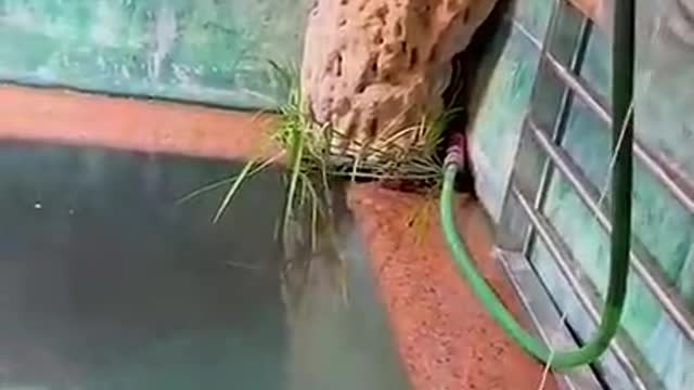 This fishing