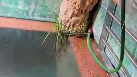 This fishing
