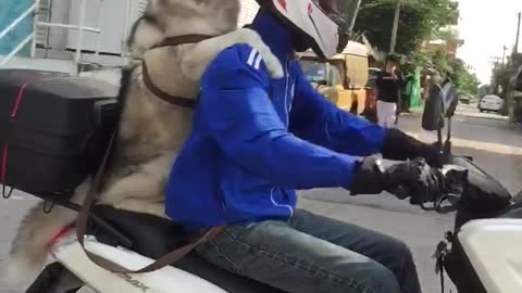 Picture Me Rollin