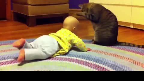playing with my cat