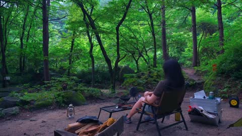One person outdoor picnic camping, one person's night, one person's dinner